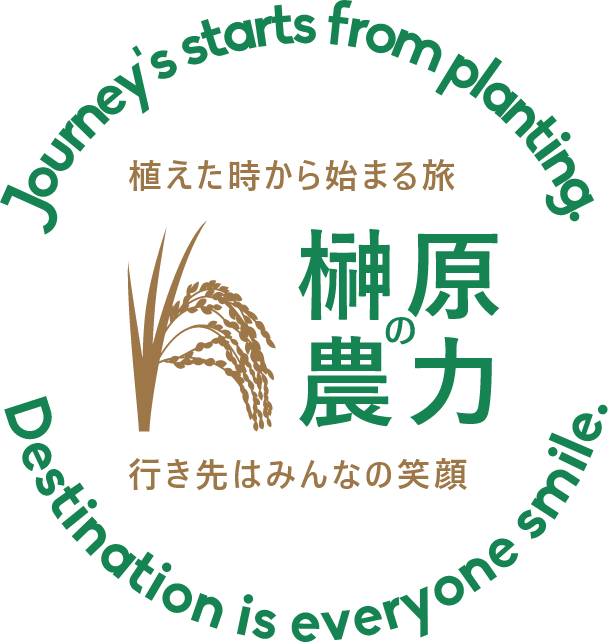 榊原の農力 三重県津市榊原町の稲作事業・野菜生産・製品化・販売など6次産業を担う 株式会社OMIMO(オミモ) 